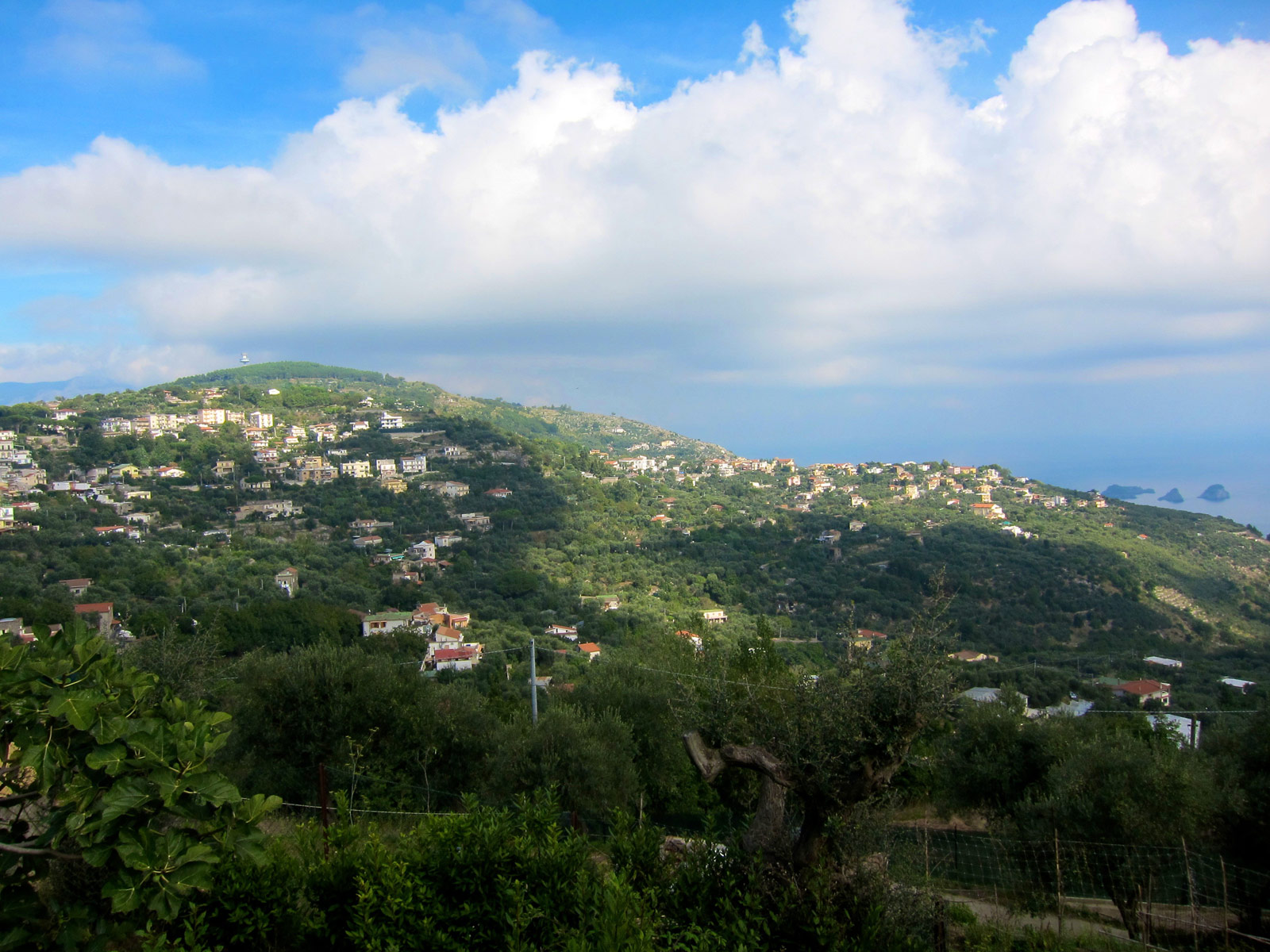 Sorrento
